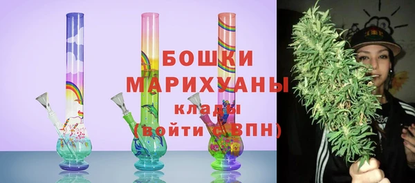 шишки Белоозёрский