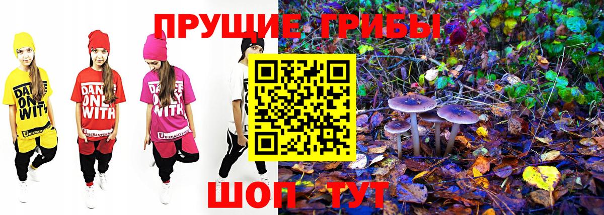 Псилоцибиновые грибы GOLDEN TEACHER Беслан