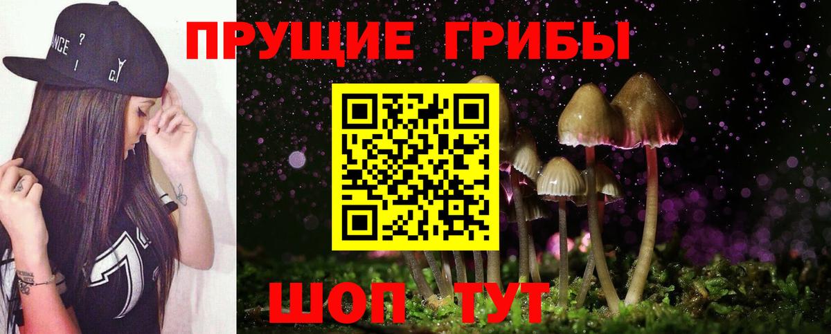 Псилоцибиновые грибы ЛСД  Галлюциногенные грибы мицелий  Беслан  Вход с VPN 