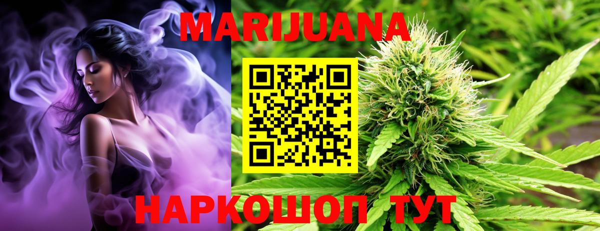 Бошки Шишки план Беслан